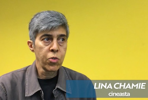 Lina Chamie . A mulher no cinema brasileiro